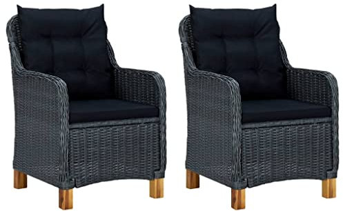 DYRJDJWIDHW Sun Garden,campingstuhl hochlehner,hochlehner gartenstuhl,Gartenstühle mit Kissen 2 STK. Poly Rattan Dunkelgrauauflagen, Kissen & Polster,gartenstuhl Metall,hochlehner auflagen,