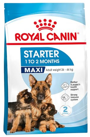 ROYAL CANIN Maxi Starter Mother & Babydog - 15 kg
