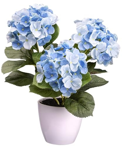 CREATIV green künstliche Hortensienpflanze blau im Kunststofftopf 32 cm I naturgetreue Kunstpflanze im Topf I künstliche Hortensie mit 3 Blüten für Innen I hochwertige & dekorative Dekopflanze