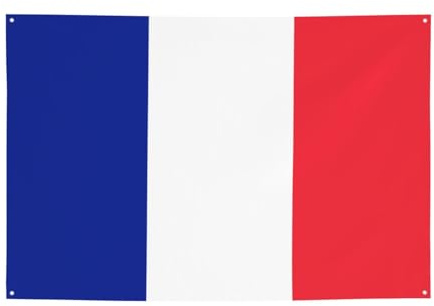 FDGBNM Bandiera francese Vibrant Party Banner 119,4 x 43,2 cm, resistente ai raggi UV, resistente allo sbiadimento, 4 occhielli, per uso interno ed esterno.
