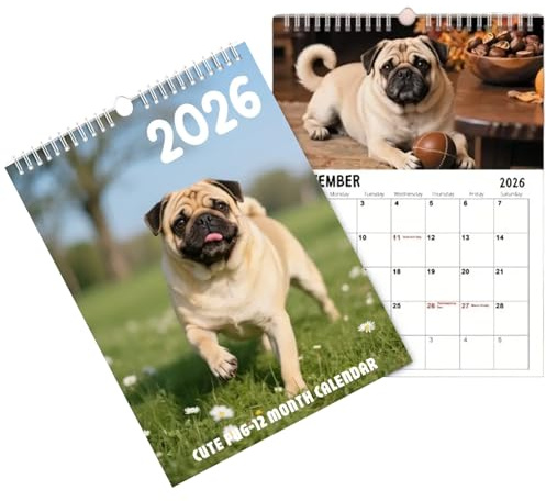 Calendario 2026 | Planificador Mensual Para Decoración | Calendario de Pared Artístico del Año 2026,Para la familia, los niños, el interior, la escuela, el aula, las oficinas, hogar, la y vacacione