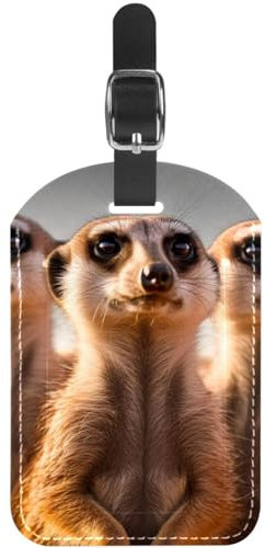 Gepäckanhänger,Koffer Gepäckanhänger,Rucksack Gepäckanhänger,1-Pc,Tier drei braune Erdmännchen