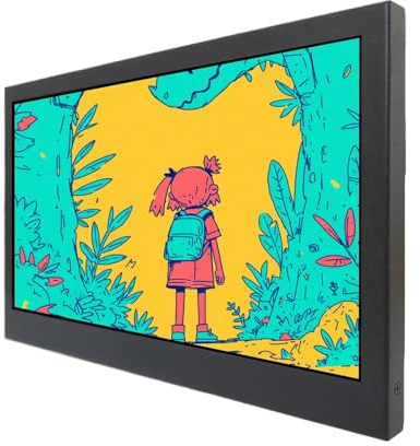 VSDISPLAY Monitor LCD IPS ad alta luminosità da 9 pollici 1280x720 900 nit | ingresso video H/D VGA, case in metallo, con staffe