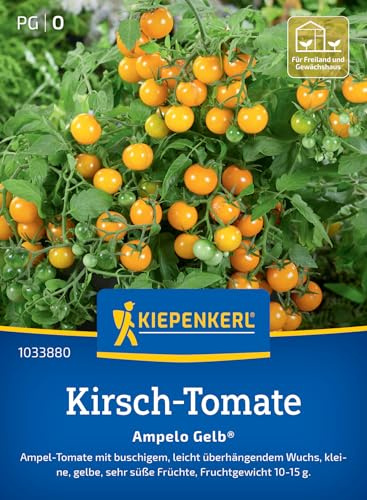 Kiepenkerl Kirsch-Tomatensamen Ampelo Gelb® 1033880, Gemüsesaat | Gelbe Früchte, leichter Überhang- Samen Gemüse, Wuchshöhe 30-40 cm, kompakt, für Hochbeet, Freiland & Topf