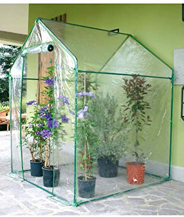 Verdemax Clematis Serra 155 x 155 x h 205