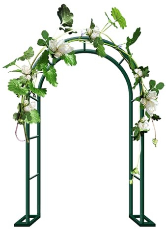 Arche de jardin en métal de 80 à 350 cm de large, pergola de mariage pour extérieur, treillage rond pour plantes grimpantes et vignes, tonnelle en acier noir (L 80 x l 40 x H 200 cm)
