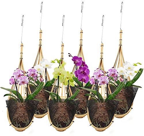 Lanccona orkidé hängande planterare 12,7 cm 6-pack med fågelbo stil växthängare, handgjord thailändsk bambu vävd hängande orkidékorg för spaljé lusthus inomhus utomhus