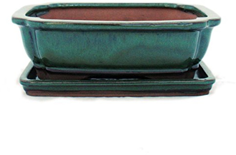Bonsaï Bol avec sous assiette Taille 3 – Vert – Carrée – Modèle G12 – L 18 cm – B 14 cm – H 5,5 cm