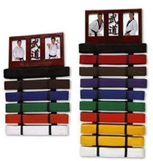 Playwell Kampfsport Bilderrahmen Riemen Display Wandmontage