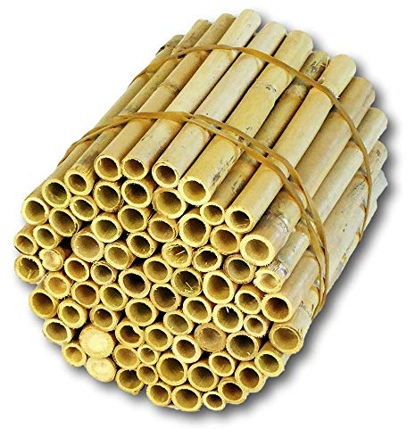 BeeCasa Schilfrohrhalme - Niströhren EXTRA | Natur Nisthülsen | 16 cm