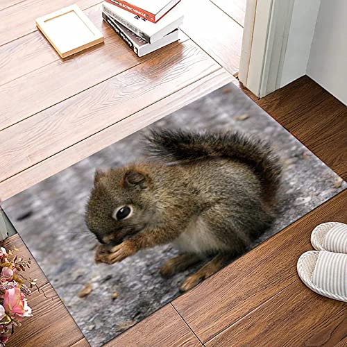 ANNKOOT Weich Badezimmerteppich 50x80 cm,Tiere Schöne Eichhörnchen Essen Tannenzapfen,rutschfest waschbar Badematte, Badteppich Mikrofaser Saugfähig Badvorleger Duschvorleger
