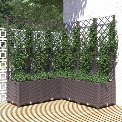 Jardinera con Enrejado de PP Marrón 120x120x136cm para Plantas Trepadoras