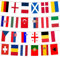 DHJWDUX 1 Rotolo 24 Paesi Bandiere del Mondo Bandiere Personalizzate Bandiera Coppa del Mondo di Calcio per Bar Club Giardino Ristorante Decorazioni Multicolore