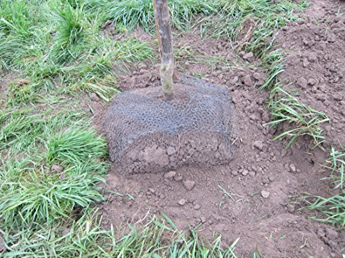 Wühlmausdraht, *** 5 Stück*** Wühlmausschutz, Wurzelschutz, unverzinkter Draht, Schermäuse