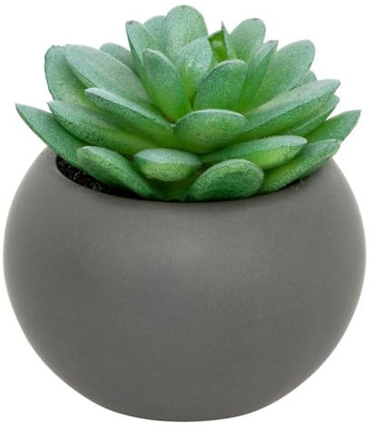 Atmosphera - Plante grasse en Pot H13 - Modèle h/Gris
