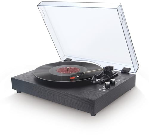 Platine vinyle Portable ancienne platine vinyle Vintage avec haut-parleur intégré Gramophone