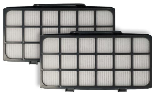 vhbw 2X Nachmotorfilter kompatibel mit Rowenta Silence Force 4A Parkett RO6441EA Staubsauger - Abluftfilter (EPA-Filter)