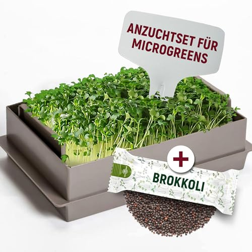 ORAGARDEN Sprossen Anzuchtset mit Brokkoli Bio Sorten - Microgreens Keimschale Starter Set - Anzuchtschale mit Kressesieb - Eckige, Koffee