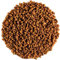 Fenugrec Bio Graines Épice Premium - Trigonelle Graine Biologique Fenugrec Tisane Fenugrec Bio Tisane De Fenugrec Graine Bio Graine Funegrec Grain Fenugrec Graine De Fenugrec Fenugreek Funegrec