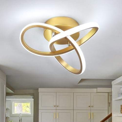 EIDISUNY LED Ceiling Light,25cm 22W Flower Shape Gold LED Ceiling Lights, 6000K Cool White Light Lamp, Modern Ceiling Lights for Living Room, Bedroom, Kitchen, Hallway, Office - Brushed Gold