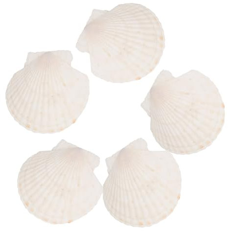 ANDRESLAD 5 Stücke Shell Gericht Schmuck Tablett Schmuck Organizer Display Platte Natürliche Shell Material Scratch-multi-verwenden