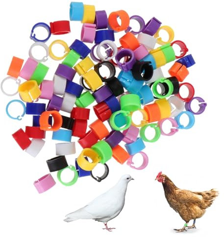 EUYKQNOI 100 Stück hühnerringe GeflüGel FußRinge mit bunter,BrieftaubenfußRing KleingeflüGel Klemmringe HäHnchen Beinringe Taubenring,für Enten Küken Huhn Meertauben Gans Wildgeflügel Pute,10mm