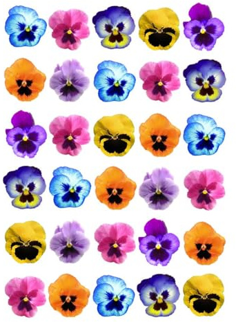 30 x Pansy Flowers STAND UP Edible Paper Cupcake Toppers Cake Decorations 2D Rice Wafer paper