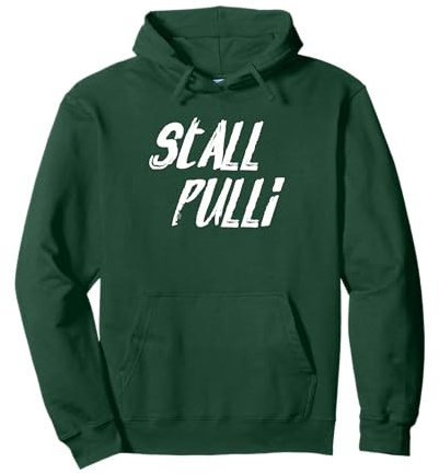 Stall Pulli Pferd Pferde Reitsport Reiterin Reiten Geschenk Pullover Hoodie