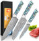 3PCS Ensembles de Couteaux Cuisine, Set Couteau Cuisine Damas, 67 Couche Acier Couteaux Japonais - Couteau de Chef 20CM, Couteau Santoku 17,5CM , 12,6CM Couteau Universel avec Résine Poignée