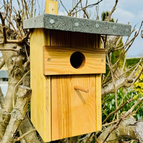 DARLUX Großer Nistkasten für Stare - Massivholz Starenkasten, geräumiger Nistkasten Ideal für Wildvögel Ø 50 mm Artgerecht nach NABU Empfehlungen gebaut