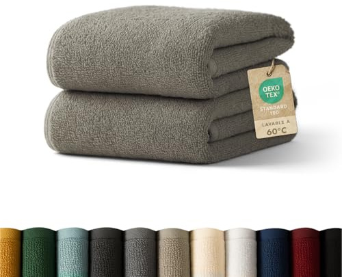 Blumtal Premium Frottier Handtücher Set 2 teilig 100% Baumwolle - Oeko-TEX zertifiziertes Towel 2X (50x100 cm) - Ultra saugstarkes Frottier Handtücher Set waschbar °60 - Handtücher Grau