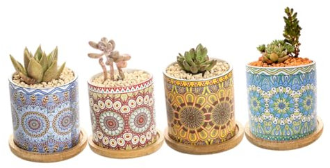 Happyyami 4 Stück fleischiger Blumentopf Bonsai einzigartige Töpfe für Sukkulenten blumengießkanne für zimmerpflanzen Home Decor Blumentopf aus Keramik Sukkulententöpfe aus Keramik Bambus