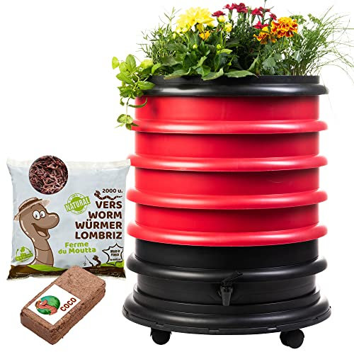 WORMbox | Wurmkomposter Wurmfarm Wurmkiste mit 4 Schalen Rot + Pflanzgefäß + 1kg Kompostwürmer / 2000 STK + 1 Coco | 64 Liter | Regenwurmkomposter, Kompostwürmer produzieren Wurmhumus