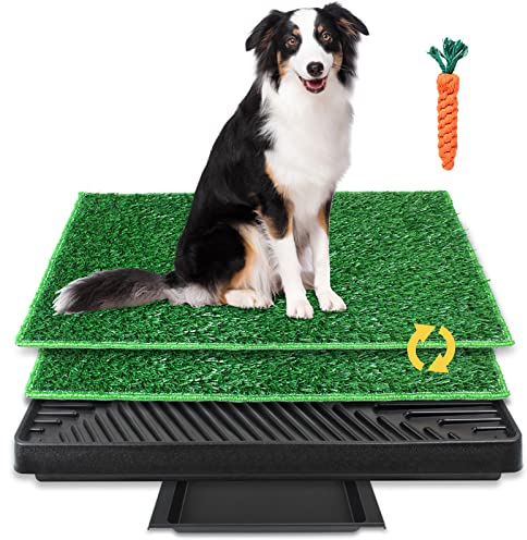 BRIAN & DANY Hundeklo Hundetoilette Trainingsunterlage mit 2 Austauschbarer Kunstrasen, Indoor/Outdoor Hundetöpfchen für Kleine Hunde Grosse Hunde ältere, 63 X 51cm