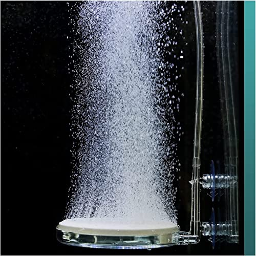 boxtech Acquario Air Stone, Nano Air Stone Aquarium Diffusore silenzioso per ossigeno disciolto, utilizzato in acquari e pompe idroponiche (Y100)