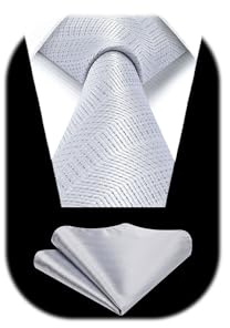 HISDERN Krawatten für Herren Klassische Hochzeit Krawatte mit Einstecktuch Set Formal Elegant Taschentuch Business Party