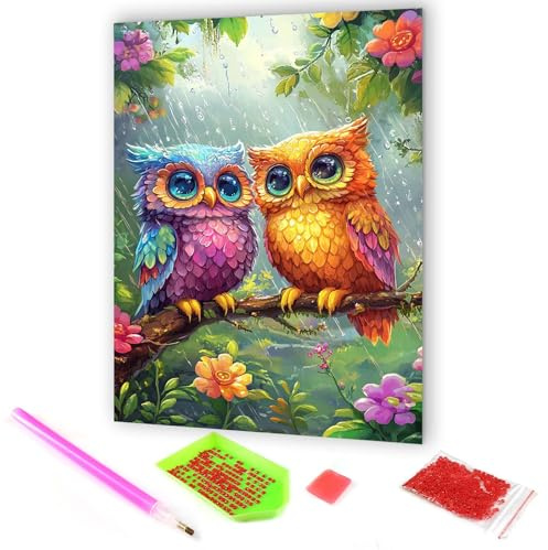 Hoobee 5D DIY Diamond Painting Eulen, Diamond Painting Bilder Tiere Vögel, Diamond Painting Erwachsene, Vollbohrer Stickerei Kreuzstich Kunst Handwerk für Zuhause Wanddekoration 30x40cm-01