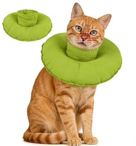 Hjyokuso katt konkrage