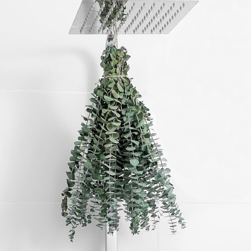 10 Pcs Dried Eucalyptus Stems 17 Real Eucalyptus for Shower Hanging 100% Made from Fresh Leaves, Wedding, Home, Farmhouse, DIY Spring Decor Bathroom Decor Home Decor