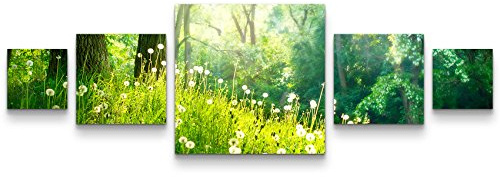 Paul Sinus Art Leinwandbilder | Bilder Leinwand 160x50cm Pusteblumen im Wald