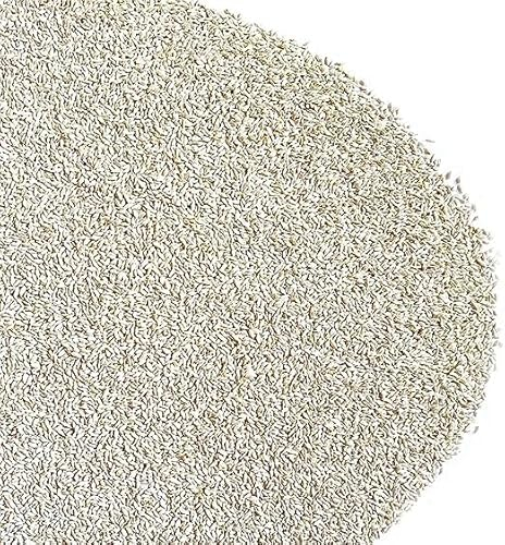 GRAMIGNA (CYNODON DACTYLON) CON RHIZO | Tappeto molto denso e verde scuro, Buona resistenza alla siccità e all'ombreggiamento, Ottima resistenza al calpestio | Il Contadino - Antiche Sementi (10 Kg)