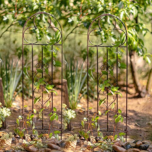 ZYFA Rankgitter Metall,Rankhilfe Rankhilfe für Kletterpflanzen,Pflanzen,Rosen,Kletterhilfe Garten Deko,Rankzaun Rosengitter Beetzaun Beeteinfassung Gartendeko,2er Set (Size : 2pcs Large)