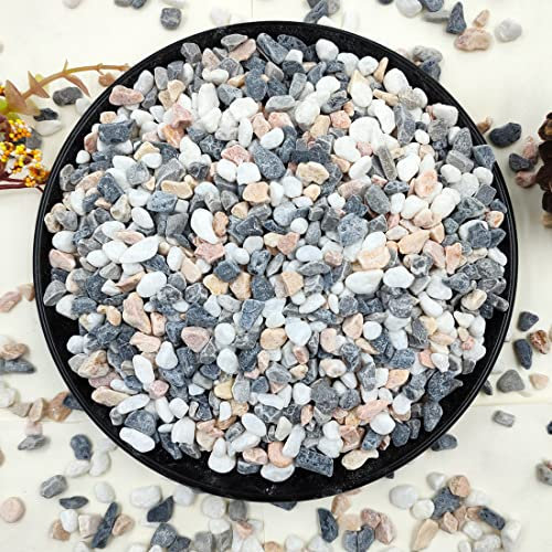 YISZM 2LB Succulent and Cactus Gravel Pebbles, 1/5 Inch Natural Decorative Polished Stones, River Rocks for Vases, Aquariums, Terrarium and Outdoor Gardening, Mixed Color