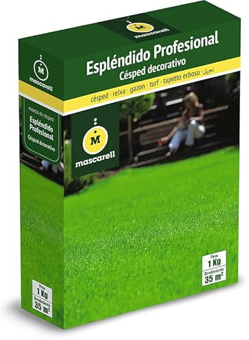 Mascarell Semillas, ESPLÉNDIDO-PROFESIONAL, Semillas de Césped, Estético y resistente, 1KG