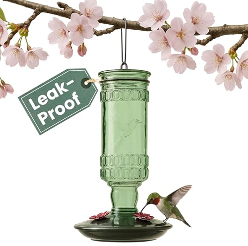 Perky-Pet Kolibri-Futterspender aus Glas für den Außenbereich – Antik-Flaschen-Stil Vogelfutterspender – 284 ml Kolibri-Futterspender für Outdoor-Gartendekoration