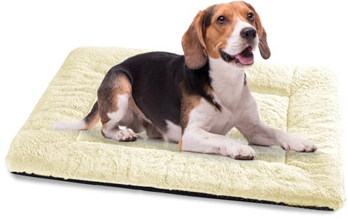 Baodan Hundebett Mittelgroße Hunde, Hundedecke, Hundematte, 90x60cm, Beige | Waschbar Hundekissen mit Rutschfeste Unterseite, Flauschiger Stoff, für Kiste & Boden