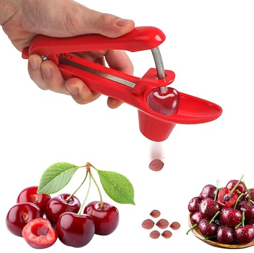 RICHSC-PAN Snocciolatore per ciliegie, in acciaio inox, con design a pressione manuale, facile da usare, per fare marmellate di ciliegie, con facilità, risparmiando tempo e spazio con design a blocco