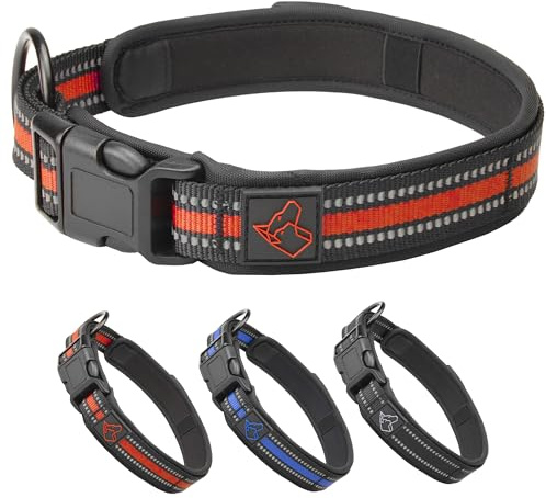 TickTrick Hundhalsband med integrerad fästingbandshållare – träningshalsband för hundar av robust nylon – reflekterande – S–XL – svart, röd, blå – för små och stora hundar (röd, L)
