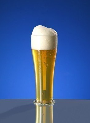 Schorm GmbH 10 Vasos de Cerveza de Trigo – 0,5 l de plástico con Aspecto de Cristal