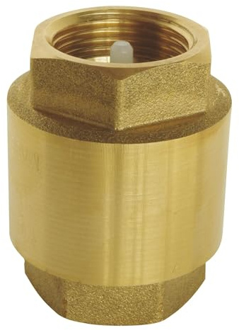 SOMATHERM FOR YOU, Clapet de retenue universel 3/4 Double Femelle en laiton et plastique, montage toutes positions, norme ACS, pour eau, air et mazout, pression max 12 bars